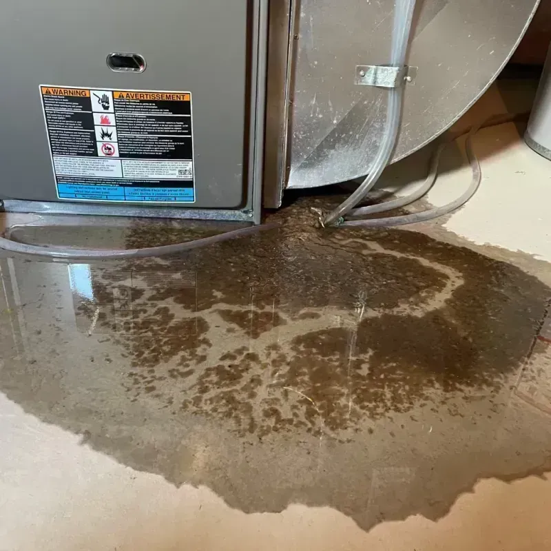 Appliance Leak Cleanup in Abingdon, IL